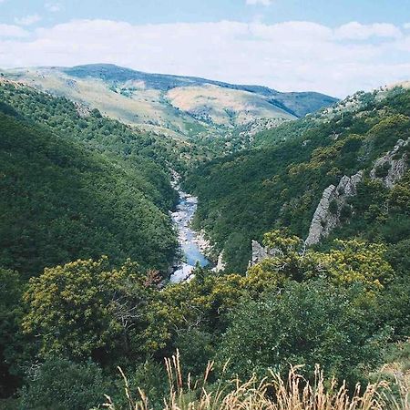 L'Oree Cevenole, Spa & Panorama D'Exception Saint Julien Les Rosiers Екстериор снимка