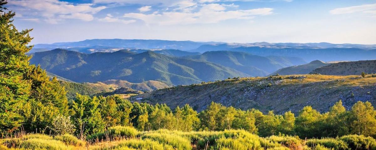 L'Oree Cevenole, Spa & Panorama D'Exception Saint Julien Les Rosiers Екстериор снимка