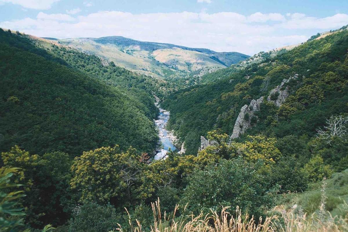 L'Oree Cevenole, Spa & Panorama D'Exception Saint Julien Les Rosiers Екстериор снимка